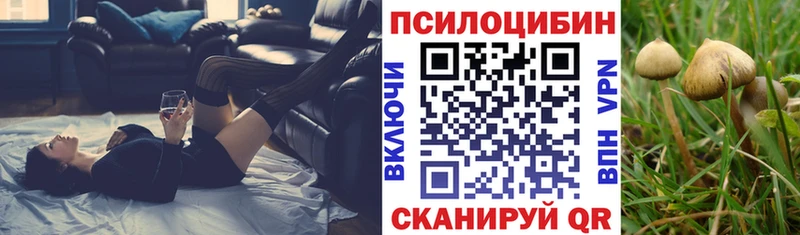 ОМГ ОМГ ССЫЛКА  Чишмы  Псилоцибиновые грибы Magic Shrooms 